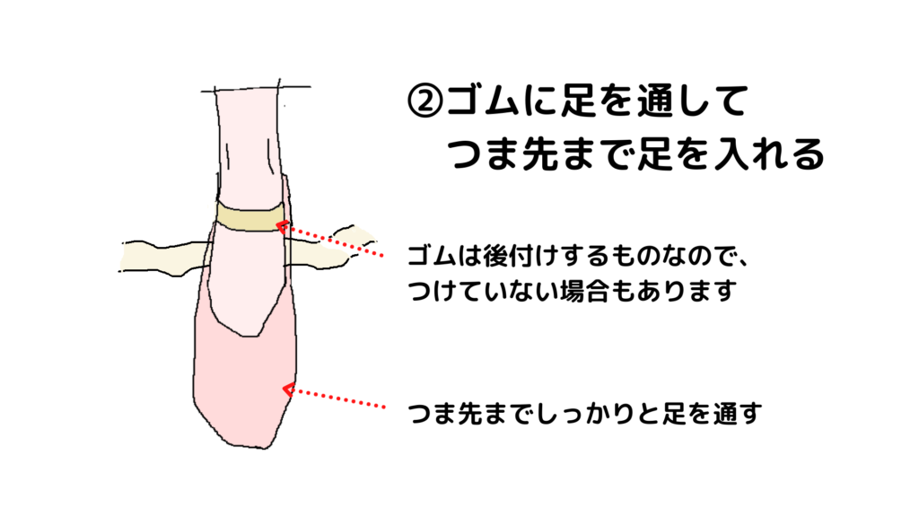 トゥシューズとバレエシューズの違いをまとめ ポアントの履き方もイラスト付きで解説 Let S Ballet